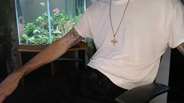 EspanolVato 网络视讯表演
