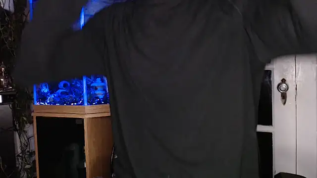 Show webcam de EspanolVato