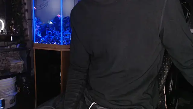 EspanolVaton Webbikameraesitys