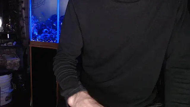 EspanolVato 웹캠 쇼