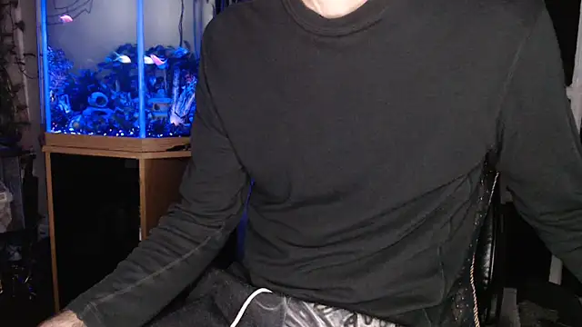 Show webcam de EspanolVato