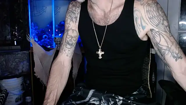 Show Webcam de EspanolVato