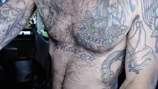 Show webcam de EspanolVato