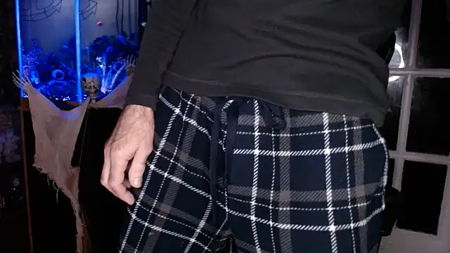 Show webcam de EspanolVato