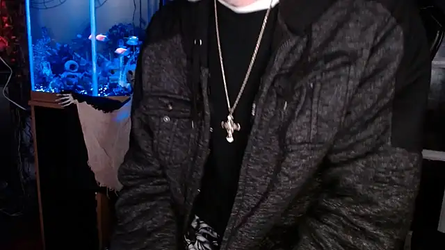 Show Webcam de EspanolVato