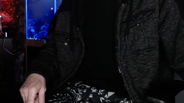 Show webcam de EspanolVato