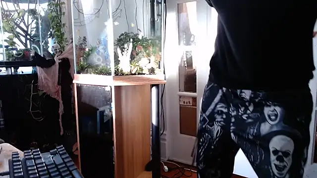 Show Webcam de EspanolVato