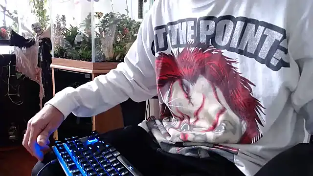 Show webcam de EspanolVato