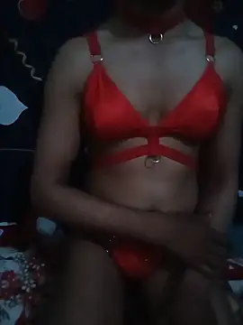 Show de Crossdres na webcam