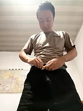 lvjinshun147 网络视讯表演