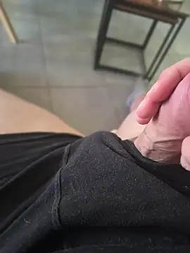 TAZSTITCH Webcam Show