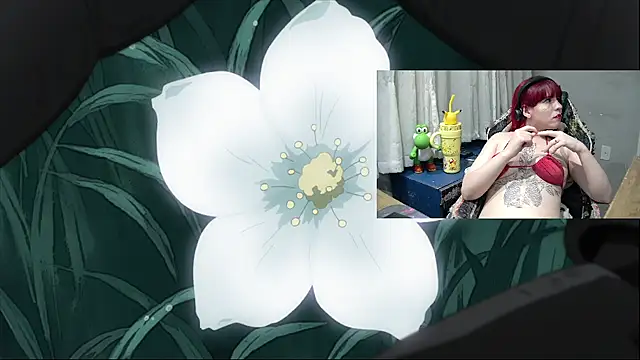 MorangoCChoc webcam show