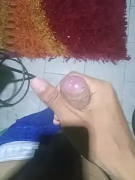 Vic_17_1 webcam show