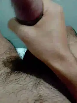 Haplis Show in webcam