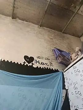 Sana-vn live-chat rom