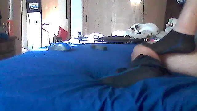 Silencio26's Webcam Show