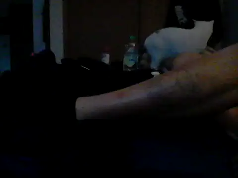 Show Webcam de Silencio26