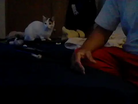 Show webcam de Silencio26
