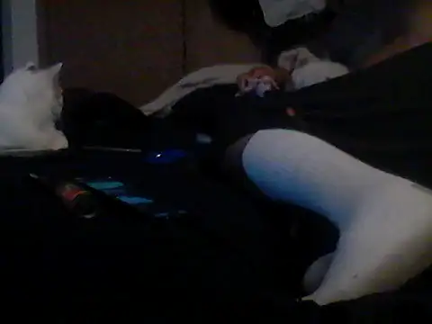 Show Webcam de Silencio26