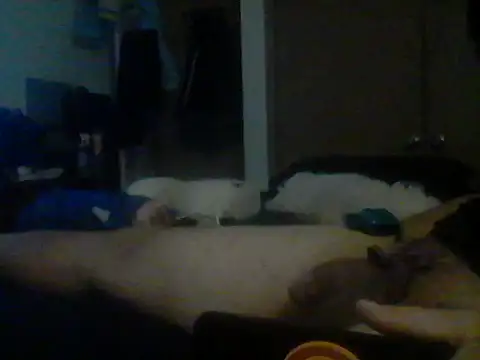 Silencio26's Webcam Show