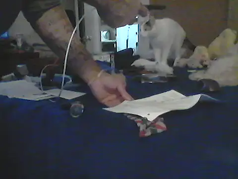 Show de webcam de Silencio26