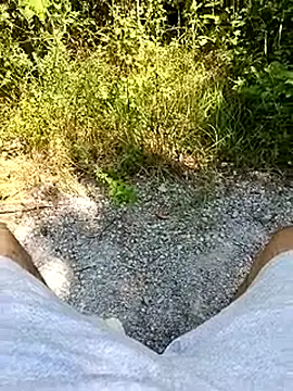 Show de webcam de Gruesote00