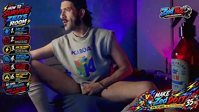 Show Webcam de zedte2