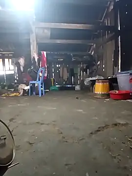 Show de webcam de bla-foxx