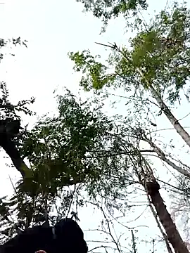 Manvi_hote Webcam Show