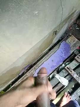 Vikash8240 网络视讯表演