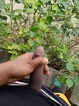 Vikash8240 Pertunjukan Webcam