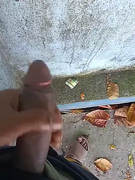 Pokazy przed kamerką – Vikash8240