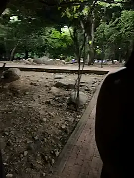 Datoka_adrenaline Pertunjukan Webcam
