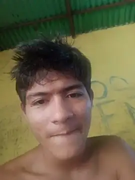 Show de StreamedEndoderm na webcam