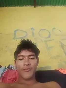 Show de StreamedEndoderm na webcam