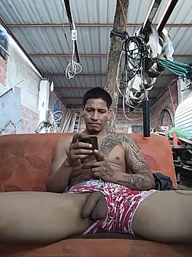 Show Webcam de cielo420