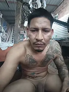 Pertunjukan Kamera Web cielo420