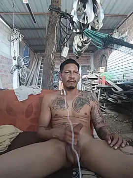 Show Webcam de cielo420