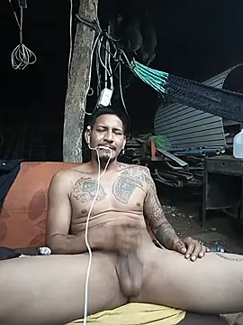عرض كام cielo420