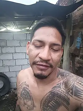 cielo420n Webbikameraesitys