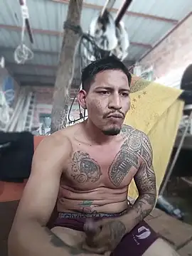 عرض كام cielo420