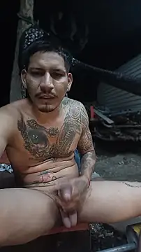 عرض كام cielo420