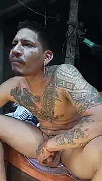 Show Webcam de cielo420