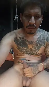 Show webcam de cielo420