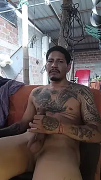 Pertunjukan Kamera Web cielo420