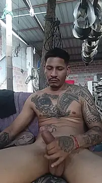 عرض كام cielo420