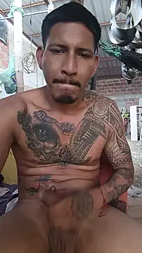 عرض كام cielo420