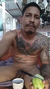 Show Webcam de cielo420