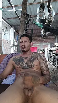 Show Webcam de cielo420