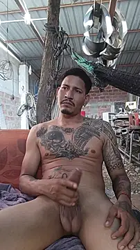 Show webcam de cielo420